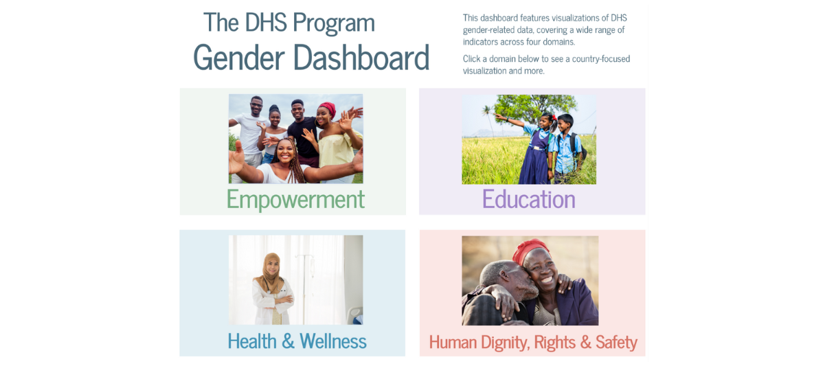 salt mærke Årvågenhed Gender Dashboard: Explore DHS Gender-related Data Across a Wide Range of  Indicators - The DHS Program Blog