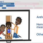 Stage 2 of DHS surveys includes training enumerators.
