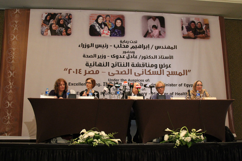2014 Egypt DHS National Seminar