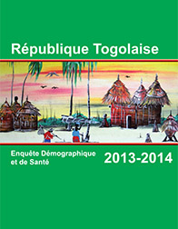 Togo DHS 2013 Cover Final.indd